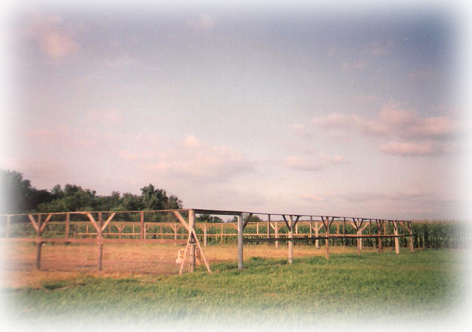 pheasant_fly_pens1